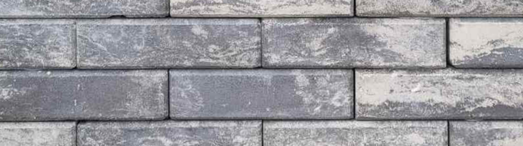 Typescript developer