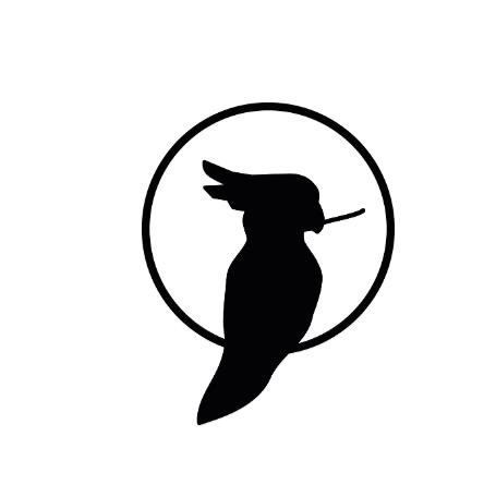 moysies & partners GmbH