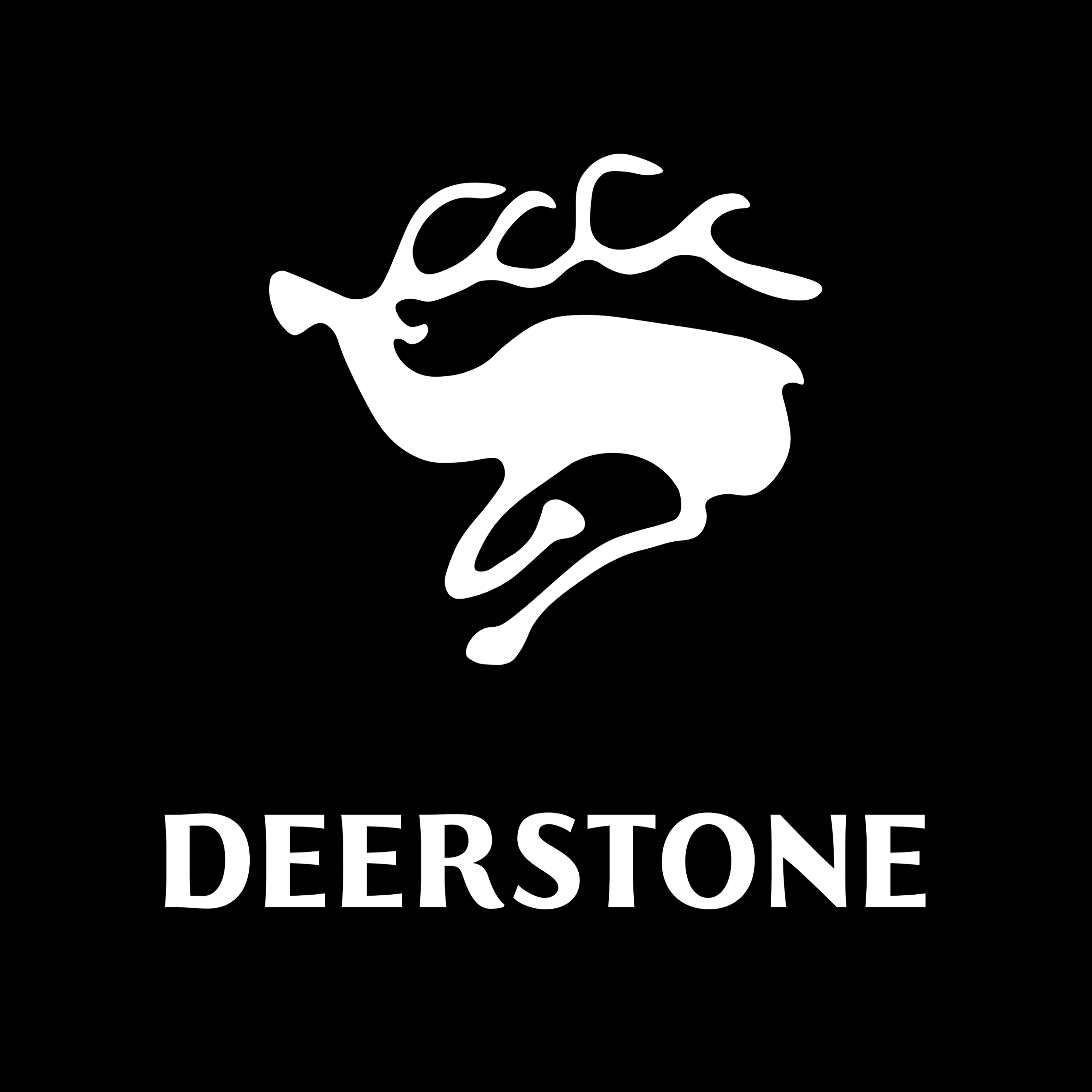 Deerstone GmbH